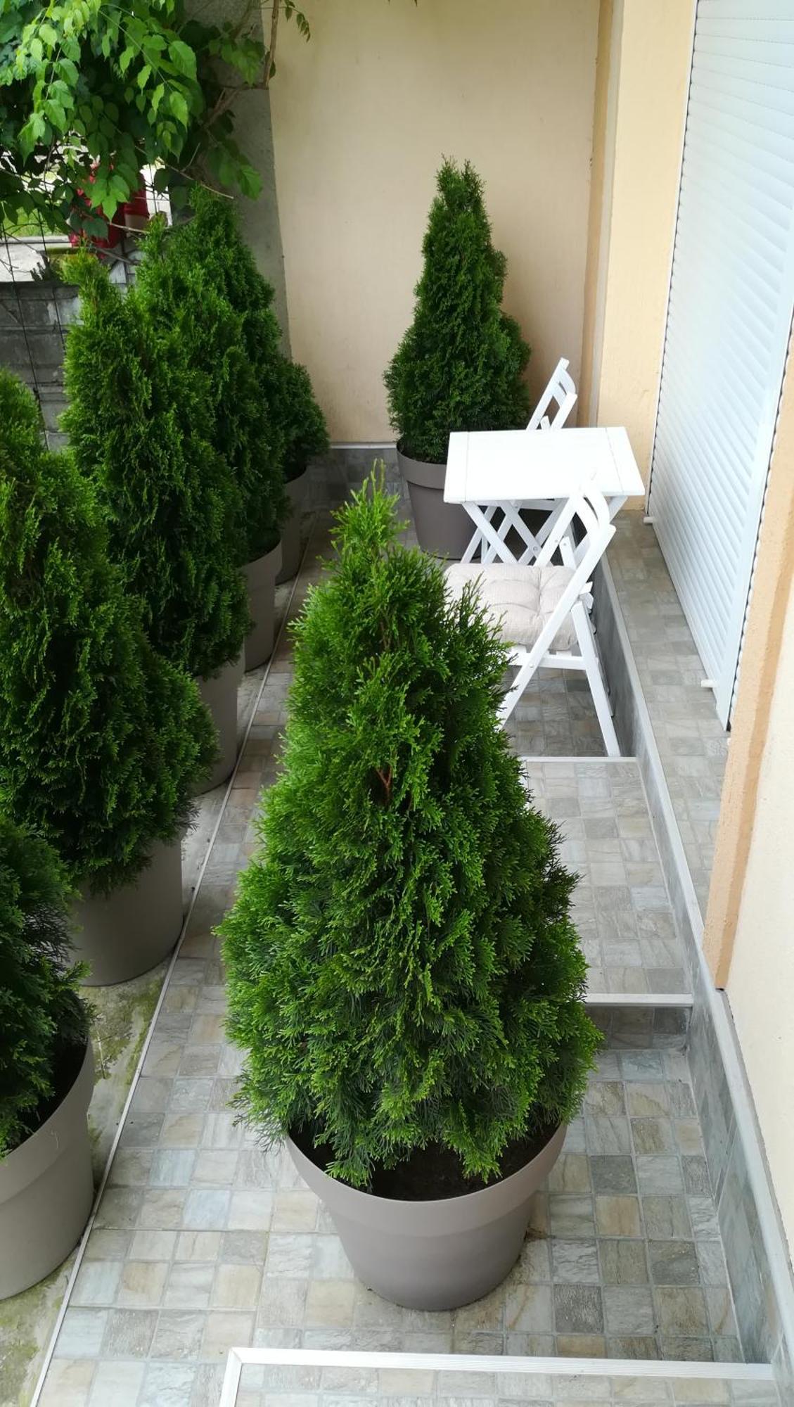 M4U Apartments Ni Exterior foto